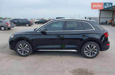 Внедорожник / Кроссовер Audi Q5 2021 в 