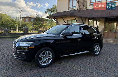 Внедорожник / Кроссовер Audi Q5 2019 в 
