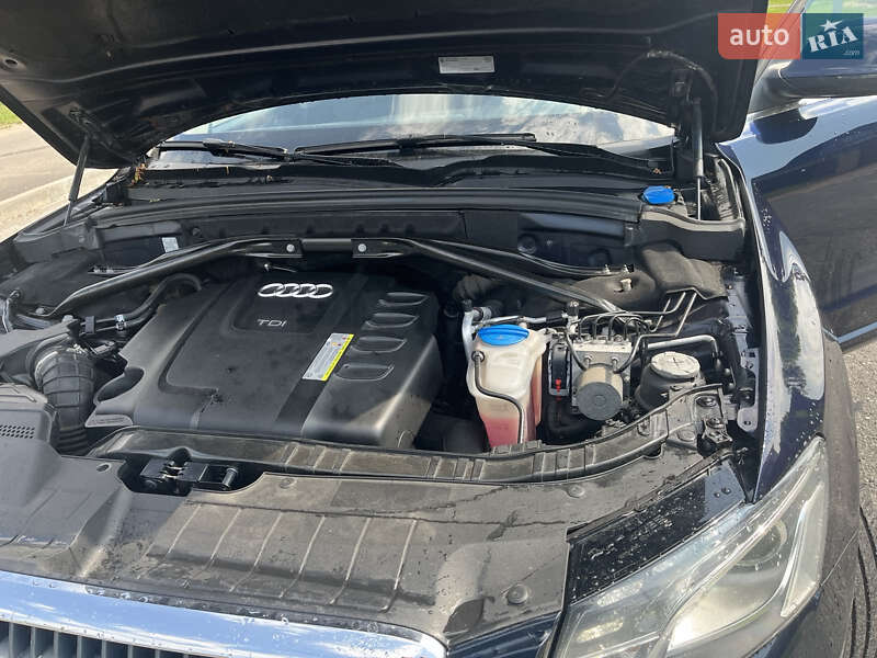 Позашляховик / Кросовер Audi Q5 2010 в Корсунь-Шевченківському