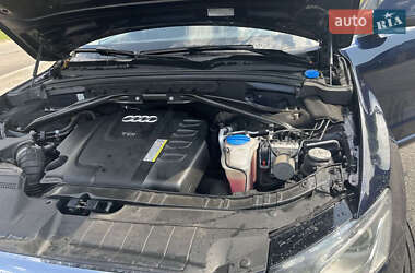 Внедорожник / Кроссовер Audi Q5 2010 в 