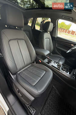 Внедорожник / Кроссовер Audi Q5 2023 в 