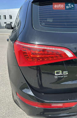 Внедорожник / Кроссовер Audi Q5 2009 в Днепре
