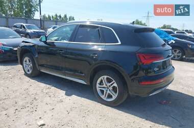 Внедорожник / Кроссовер Audi Q5 2023 в 