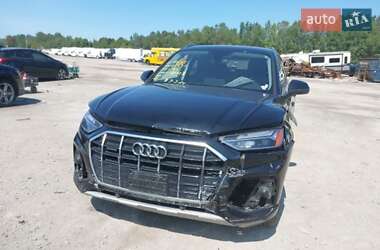 Внедорожник / Кроссовер Audi Q5 2023 в 