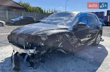 Внедорожник / Кроссовер Audi Q5 2019 в 