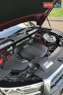 Внедорожник / Кроссовер Audi Q5 2020 в 