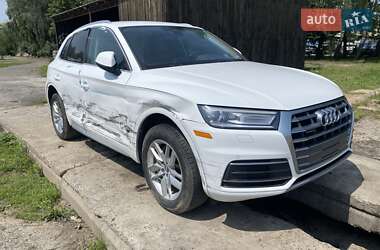 Внедорожник / Кроссовер Audi Q5 2020 в Луцке