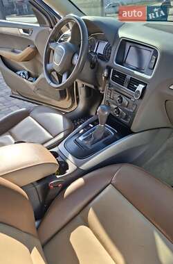 Внедорожник / Кроссовер Audi Q5 2010 в 