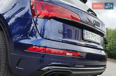 Внедорожник / Кроссовер Audi Q5 2023 в 