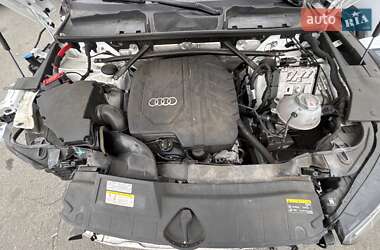 Внедорожник / Кроссовер Audi Q5 2021 в 