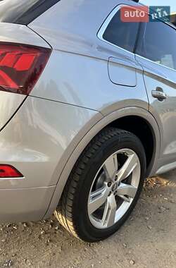 Внедорожник / Кроссовер Audi Q5 2019 в 