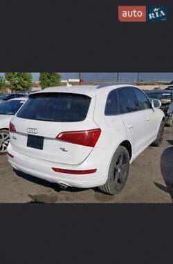 Внедорожник / Кроссовер Audi Q5 2009 в 