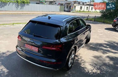 Внедорожник / Кроссовер Audi Q5 2019 в 