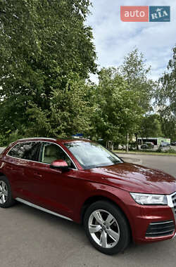 Внедорожник / Кроссовер Audi Q5 2019 в 