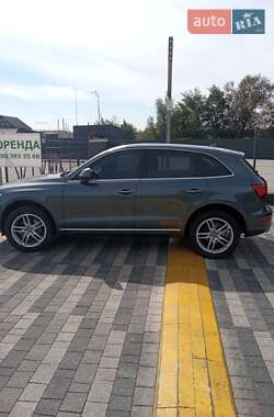 Внедорожник / Кроссовер Audi Q5 2017 в 