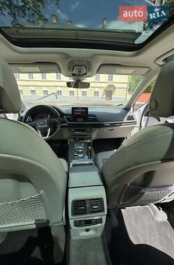 Внедорожник / Кроссовер Audi Q5 2019 в 