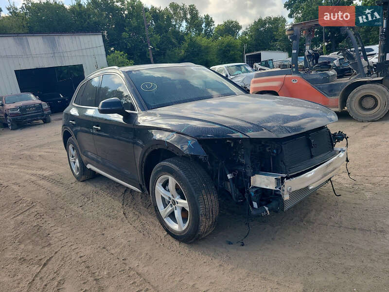Внедорожник / Кроссовер Audi Q5 2023 в Киеве