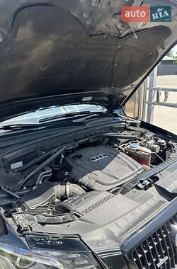 Внедорожник / Кроссовер Audi Q5 2012 в Житомире