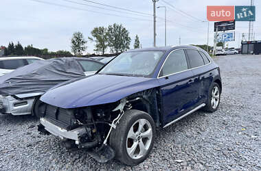 Внедорожник / Кроссовер Audi Q5 2022 в 