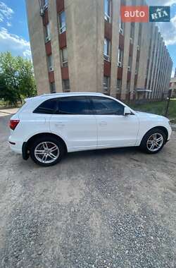 Позашляховик / Кросовер Audi Q5 2016 в 