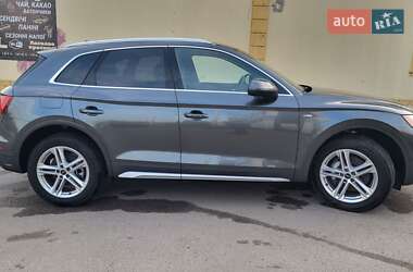 Внедорожник / Кроссовер Audi Q5 2023 в 