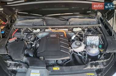 Внедорожник / Кроссовер Audi Q5 2023 в 