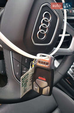 Позашляховик / Кросовер Audi Q5 2024 в 