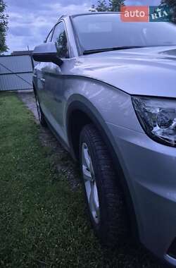 Внедорожник / Кроссовер Audi Q5 2017 в 