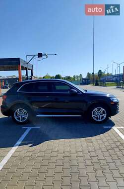 Внедорожник / Кроссовер Audi Q5 2019 в 