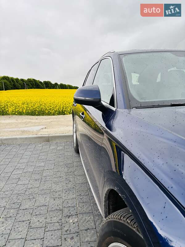 Внедорожник / Кроссовер Audi Q5 2019 в Львове фото 5 Внедорожник / Кроссовер Audi Q5 2019 в Львове