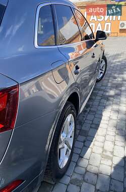 Внедорожник / Кроссовер Audi Q5 2019 в 