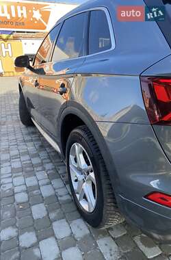 Внедорожник / Кроссовер Audi Q5 2019 в 