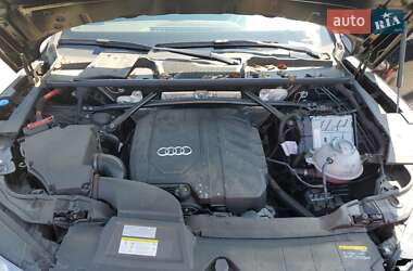Внедорожник / Кроссовер Audi Q5 2022 в 