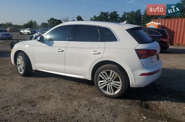 Внедорожник / Кроссовер Audi Q5 2019 в 