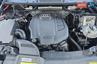 Внедорожник / Кроссовер Audi Q5 2019 в 
