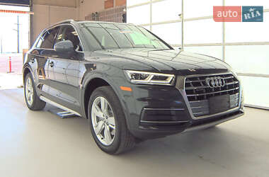 Внедорожник / Кроссовер Audi Q5 2019 в 