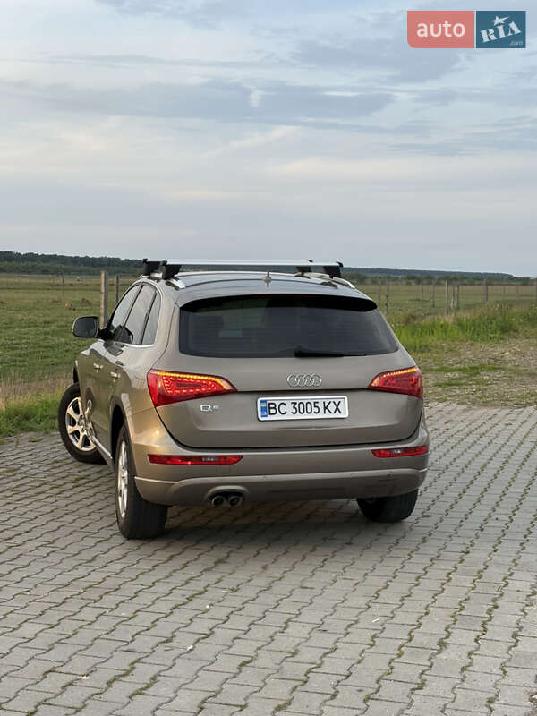 Внедорожник / Кроссовер Audi Q5 2009 в Львове