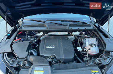 Внедорожник / Кроссовер Audi Q5 2021 в 
