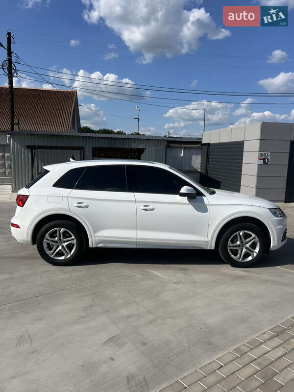 Внедорожник / Кроссовер Audi Q5 2018 в Белой Церкви