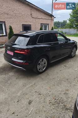 Внедорожник / Кроссовер Audi Q5 2019 в 