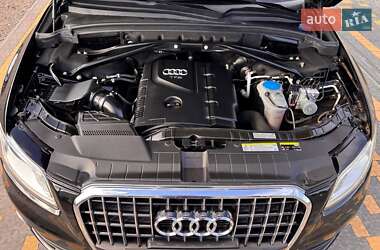 Внедорожник / Кроссовер Audi Q5 2017 в 