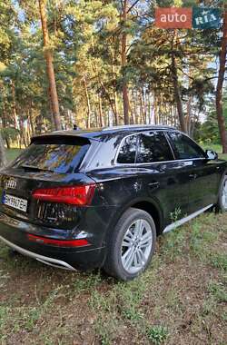 Внедорожник / Кроссовер Audi Q5 2019 в 