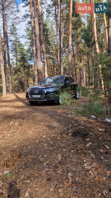 Внедорожник / Кроссовер Audi Q5 2019 в Ахтырке