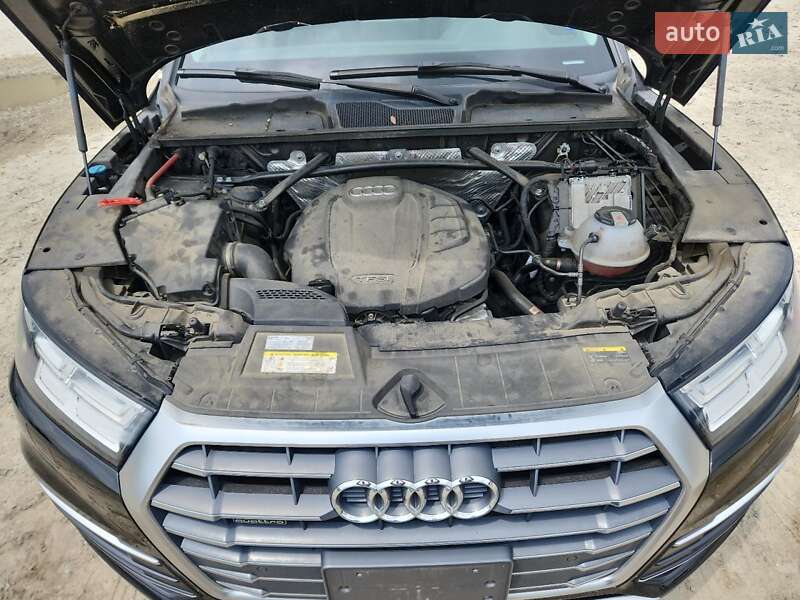 Внедорожник / Кроссовер Audi Q5 2018 в Сумах