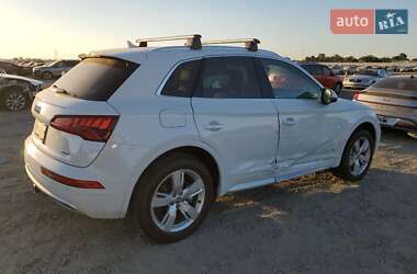 Внедорожник / Кроссовер Audi Q5 2019 в 