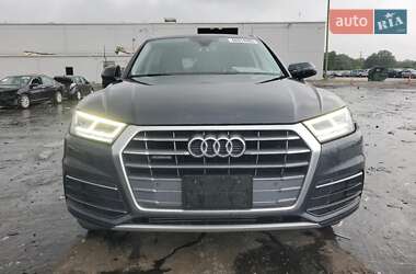 Внедорожник / Кроссовер Audi Q5 2019 в 