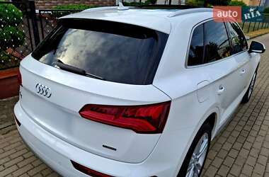 Внедорожник / Кроссовер Audi Q5 2019 в 