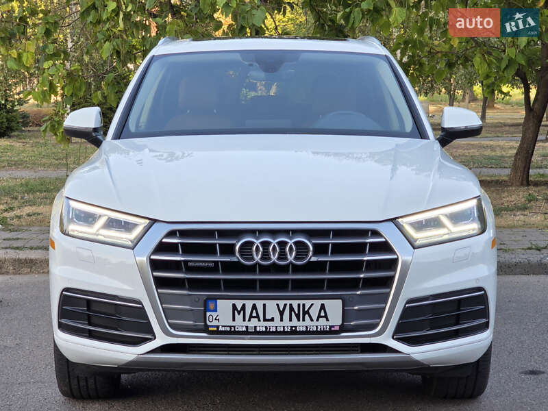 Внедорожник / Кроссовер Audi Q5 2019 в Ужгороде