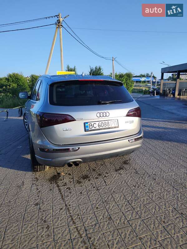 Внедорожник / Кроссовер Audi Q5 2010 в Львове