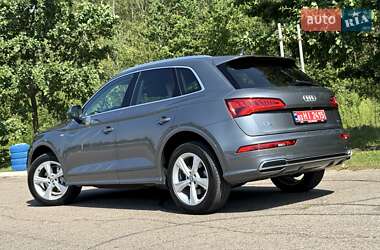 Внедорожник / Кроссовер Audi Q5 2019 в 